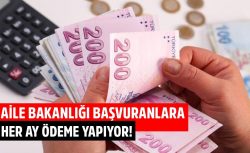 Başvurana Her Ay Ödeniyor: e-Devlet’ten Tek Tuşla Alınan Yardımlar