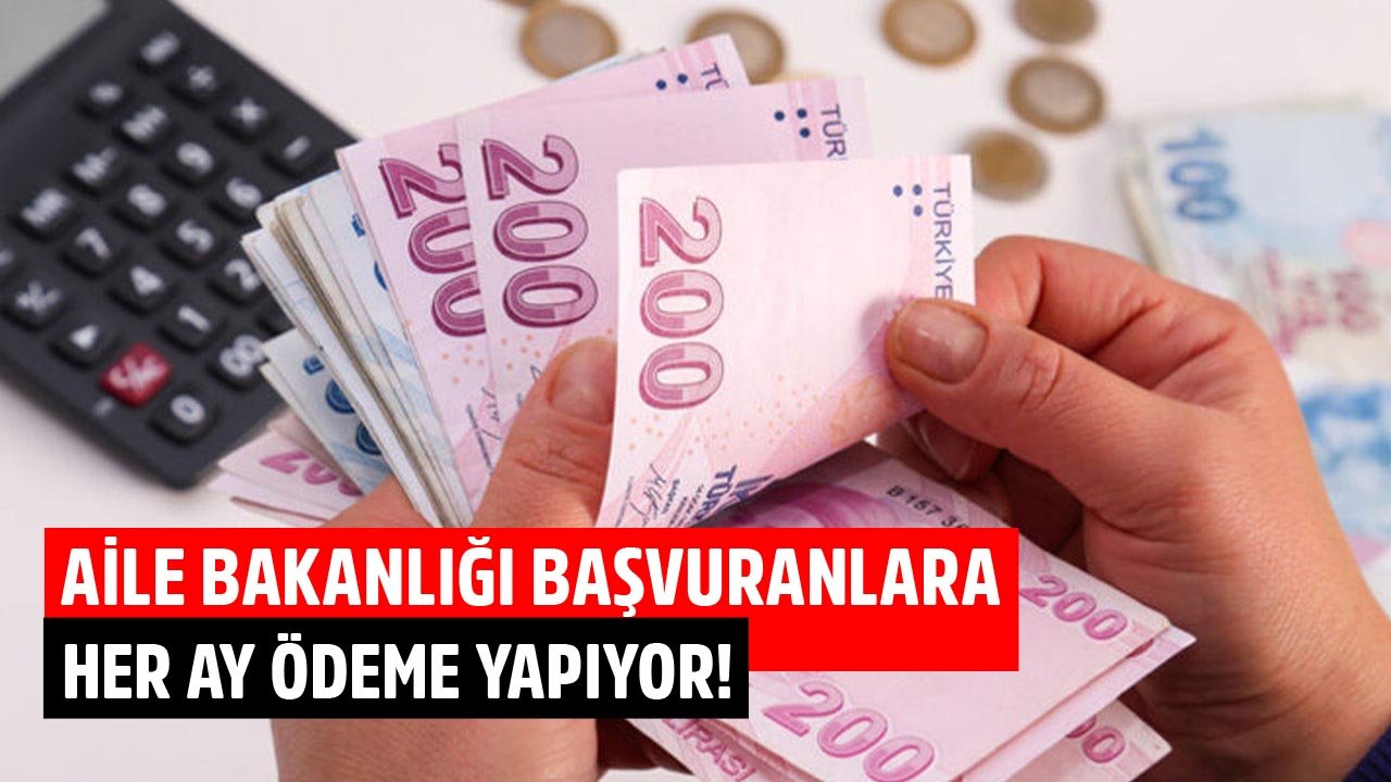 Başvurana Her Ay Ödeniyor: e-Devlet’ten Tek Tuşla Alınan Yardımlar