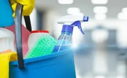 Çöpe Atmadan Önce Düşünün: Çay Mucizesi!