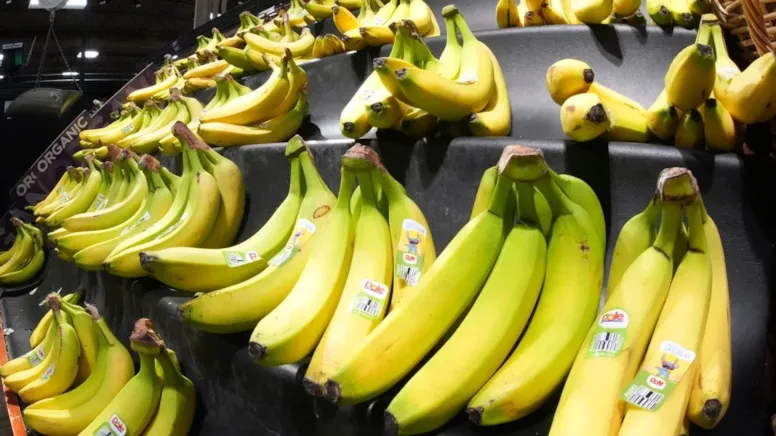 Dünyanın En Sevilen Meyvesi Yok Olma Eşiğinde