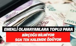 Emekli Olamayanlara Toplu Para! SGK Tek Kalemde Ödüyor