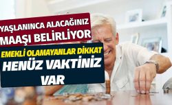 Emeklilikte Yüksek Maaşın Sırrı “Gün” Değil “Kazanç”ta
