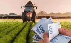 11 İlde Çiftçiye Dev Destek